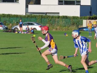 U14 A Hurlers -  Championship Final