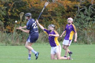 Junior B Hurlers win relegation match