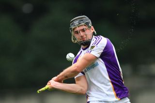 Senior B Hurlers unsuccessful in County Final