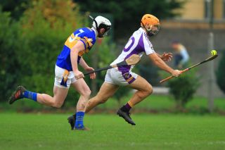 Senior B Hurlers unsuccessful in County Final