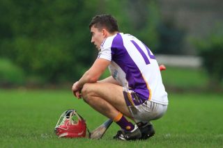Senior B Hurlers unsuccessful in County Final