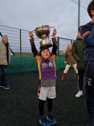 Senior Hurlers Support for Our Club Inclusion
