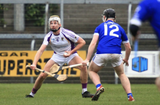 Hurling Section AGM