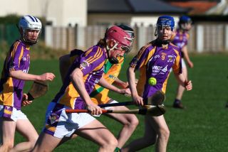 U17 Hurling Division 1 vs Faughs