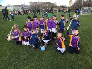 Team Spotlight - Our 2014 Hurlers