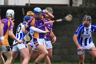 AHL1 vs Ballyboden St Endas