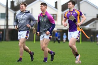 AHL1 vs Ballyboden St Endas