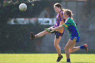 U15 Ladies Football vs Clanna Gael /Fontenroy