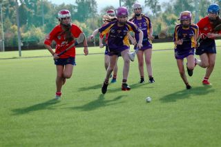 TEAM SPOTLIGHT - 2008 Under 14 Camogie