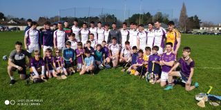 Go Ahead Adult Hurling League Division One   Kilmacud Crokes Versus Cuala