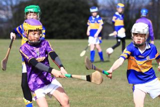 U12 Hurling Grp. 3 vs Castleknock