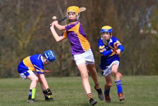 U12 Hurling Grp. 3 vs Castleknock