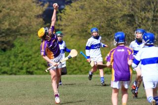 U12 Hurling A Grading Gp.1 vs St Vincents