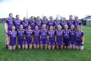 Camogie Seniors vs Castleknock