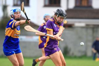 Camogie Seniors vs Castleknock