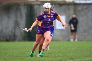 Camogie Seniors vs Castleknock