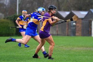Camogie Seniors vs Castleknock