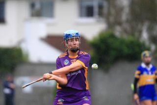 Camogie Seniors vs Castleknock