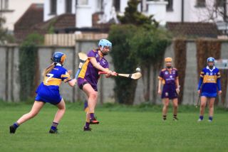 Camogie Seniors vs Castleknock