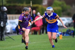 Camogie Seniors vs Castleknock
