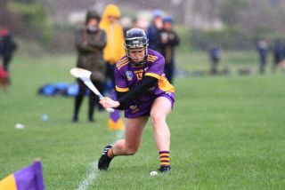 Camogie Seniors vs Castleknock