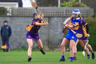 Camogie Seniors vs Castleknock