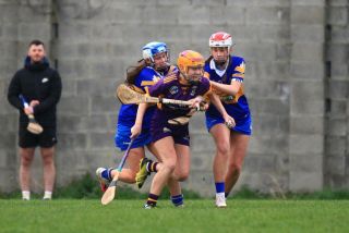Camogie Seniors vs Castleknock