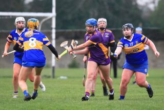 Camogie Seniors vs Castleknock