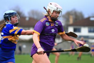 Camogie Seniors vs Castleknock