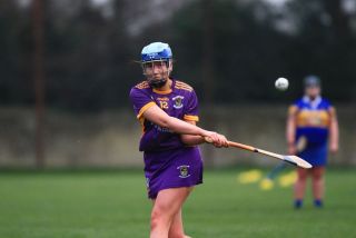 Camogie Seniors vs Castleknock
