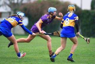 Camogie Seniors vs Castleknock