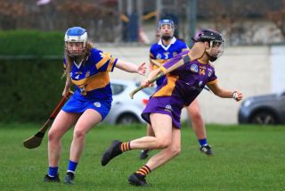 Camogie Seniors vs Castleknock