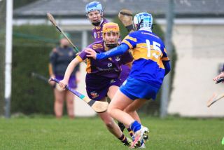 Camogie Seniors vs Castleknock