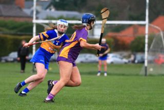 Camogie Seniors vs Castleknock