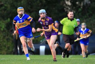 Camogie Seniors vs Castleknock