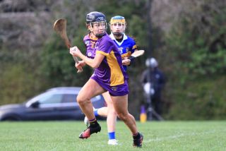 Camogie Seniors vs Castleknock