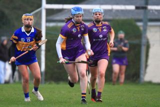 Camogie Seniors vs Castleknock