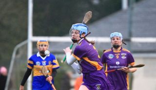 Camogie Seniors vs Castleknock