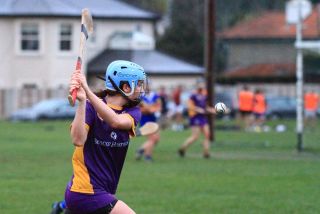 Camogie Seniors vs Castleknock
