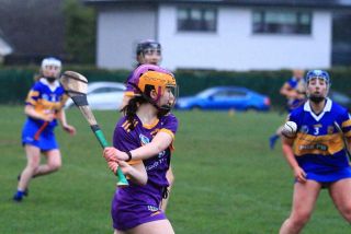 Camogie Seniors vs Castleknock
