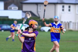 Camogie Seniors vs Castleknock