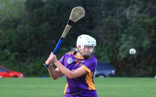 Senior Camogie Team vs St Vincents