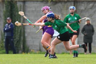 Camogie U18 Div 1 vs Lucan Sarsfields