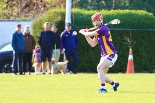 Senior A hurlers vs St Vincents