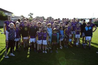 Senior A hurlers vs St Vincents