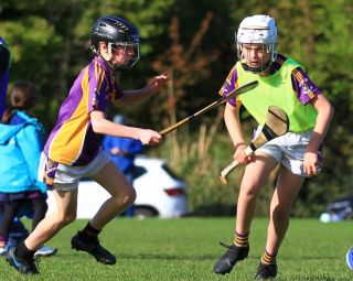 Half time games at Senior Hurling match