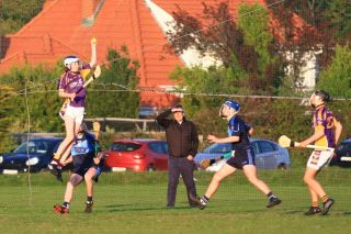 U15 Hurling Feile Div.1 Semi Final