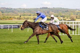 again! Hurling Section's Punchestown Raceday returns
