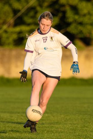 Ladies Football Go-Ahead Adult League Division 1  Kilmacud Crokes Versus Na Fianna