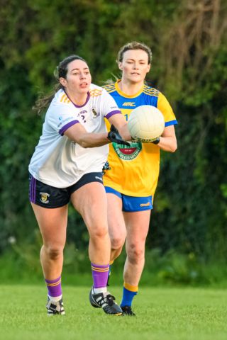 Ladies Football Go-Ahead Adult League Division 1  Kilmacud Crokes Versus Na Fianna
